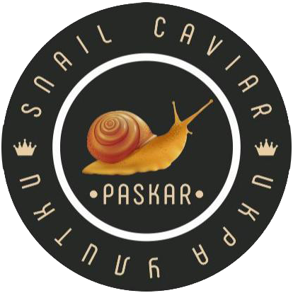 Caviar snail